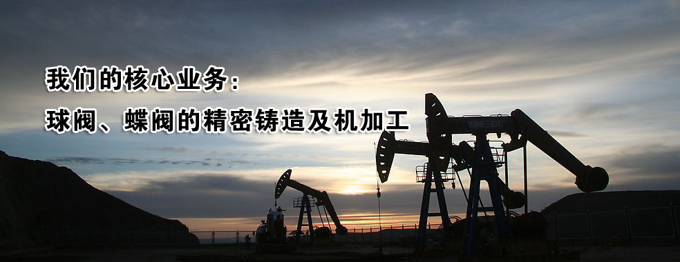菏澤做網(wǎng)站